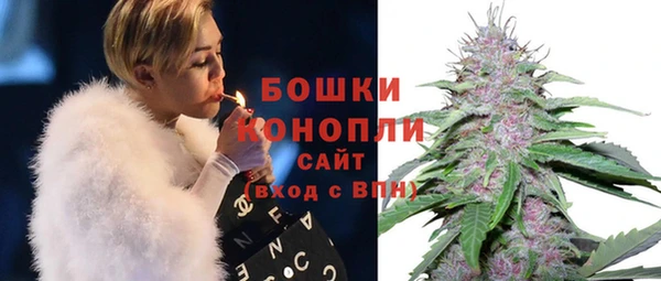 сатива Семикаракорск