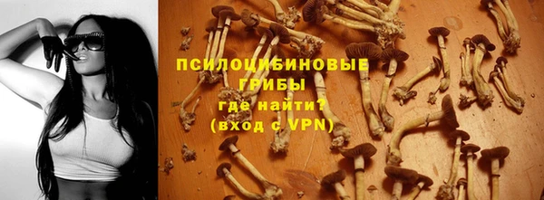соль ск Строитель
