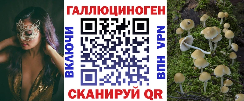 Псилоцибиновые грибы GOLDEN TEACHER  Купить закладки  Барнаул 